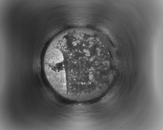 X0000088420634200706121433