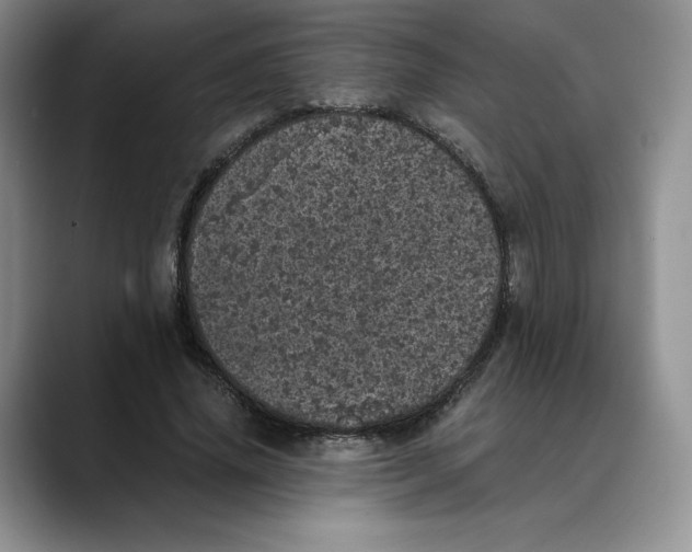 X0000088420636200706121433