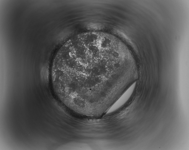 X0000088420637200706121433