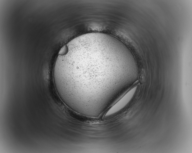 X0000088420639200706121433