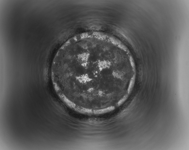 X0000088420641200706121433