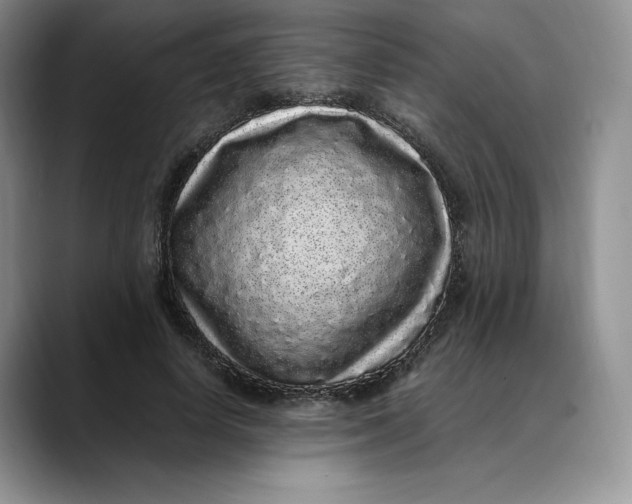 X0000088420642200706121433