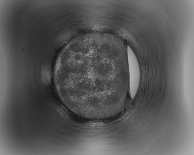 X0000088420644200706121433