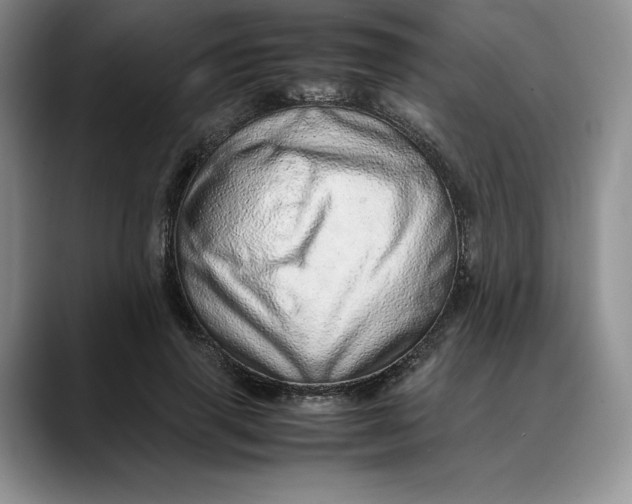 X0000088420645200706121433