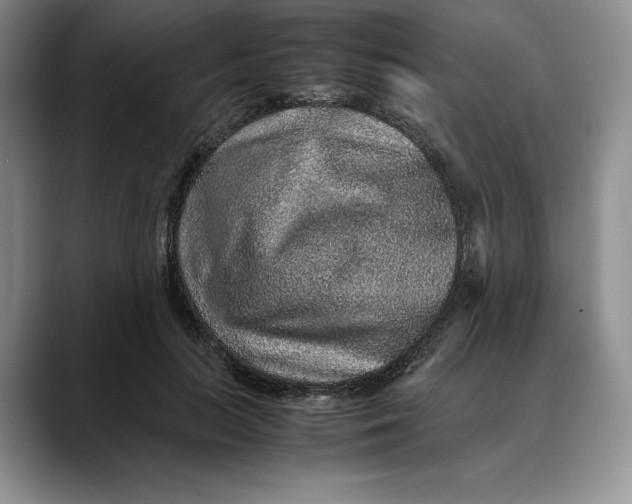 X0000088420647200706121433