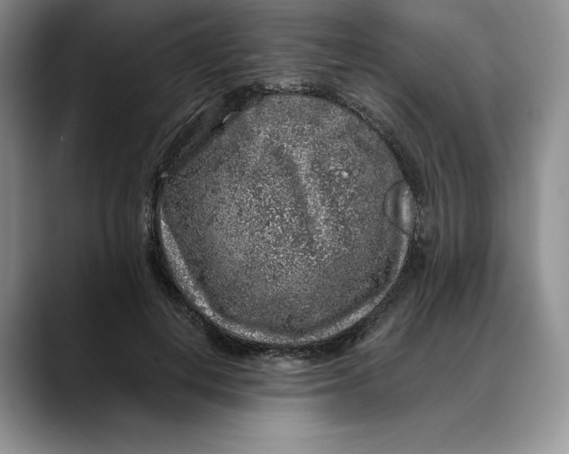 X0000088420648200706121433