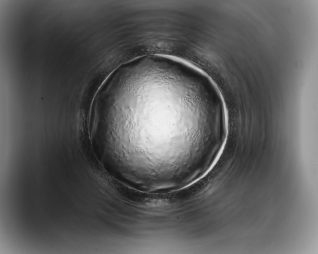 X0000088420649200706121433