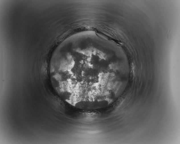 X0000088420650200706121433