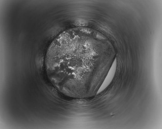 X0000088420652200706121433