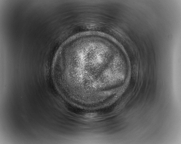 X0000088420653200706121433