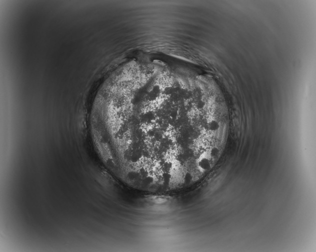 X0000088420654200706121433