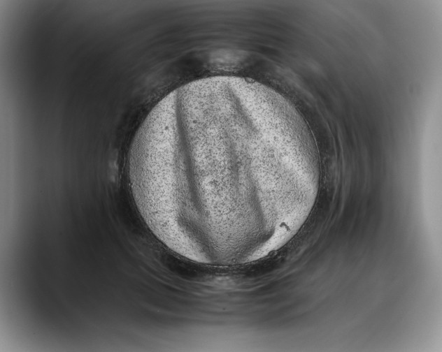 X0000088420655200706121433