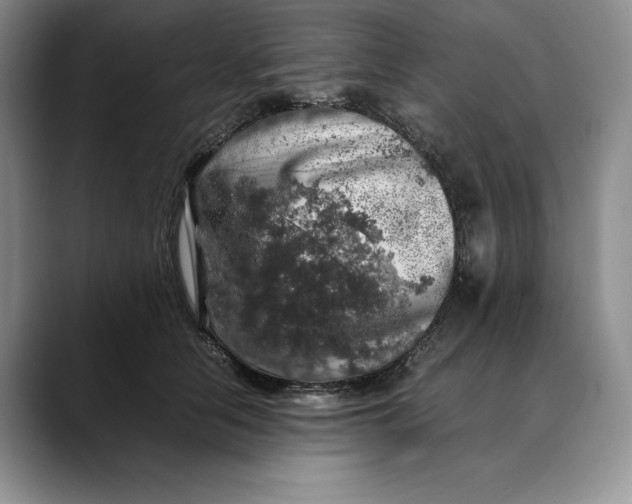 X0000088420658200706121433