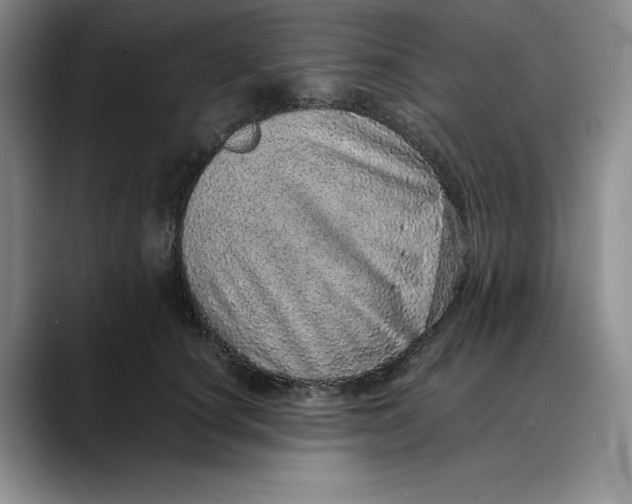 X0000088420660200706121433