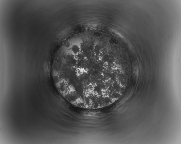 X0000088420661200706121433