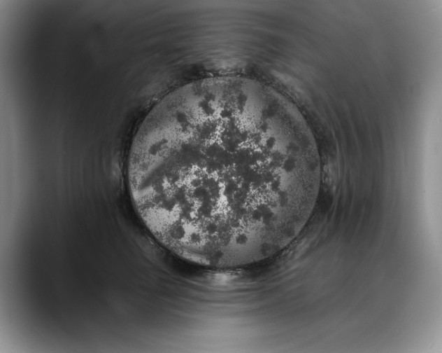 X0000088420662200706121433