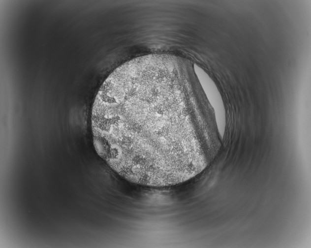 X0000088420664200706121433