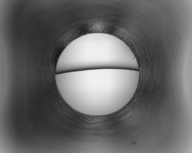 X0000088420665200706121433