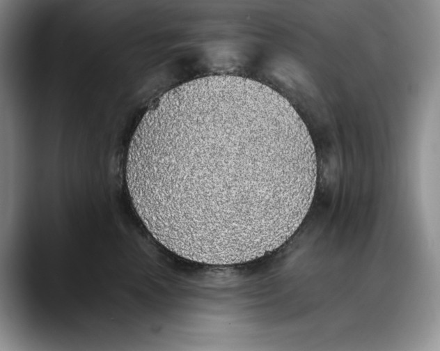 X0000088420666200706121433
