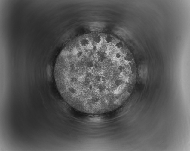 X0000088420667200706121433