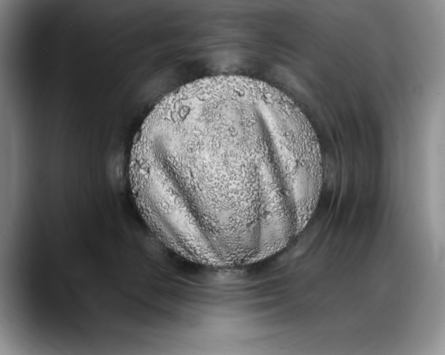 X0000088420670200706121433
