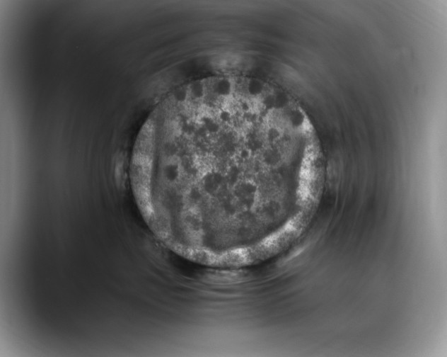 X0000088420671200706121433