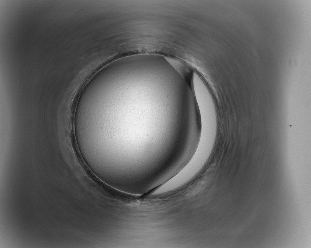 X0000088420673200706121433