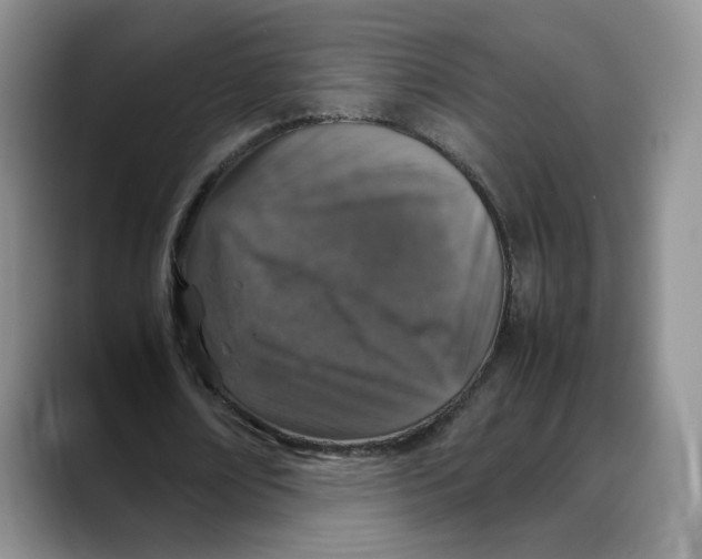X0000088420674200706121433