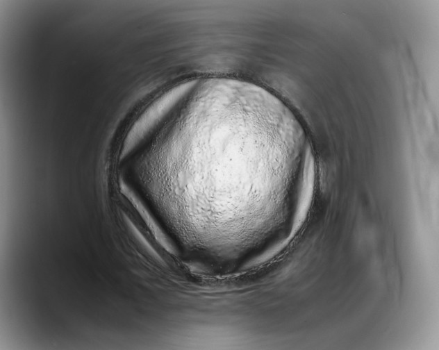 X0000088420675200706121433