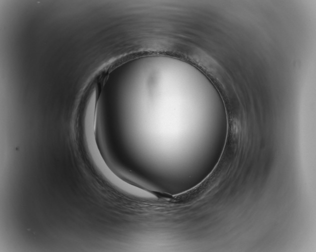 X0000088420676200706121433