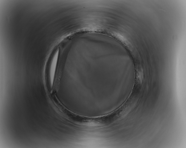 X0000088420678200706121433