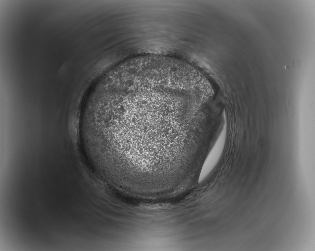 X0000088420679200706121433