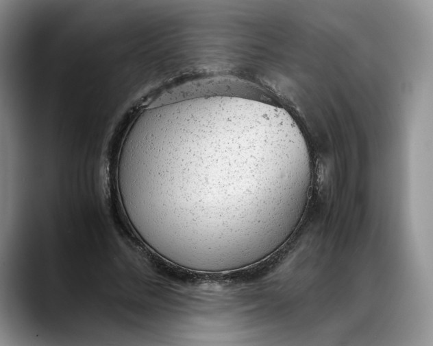 X0000088420684200706121433