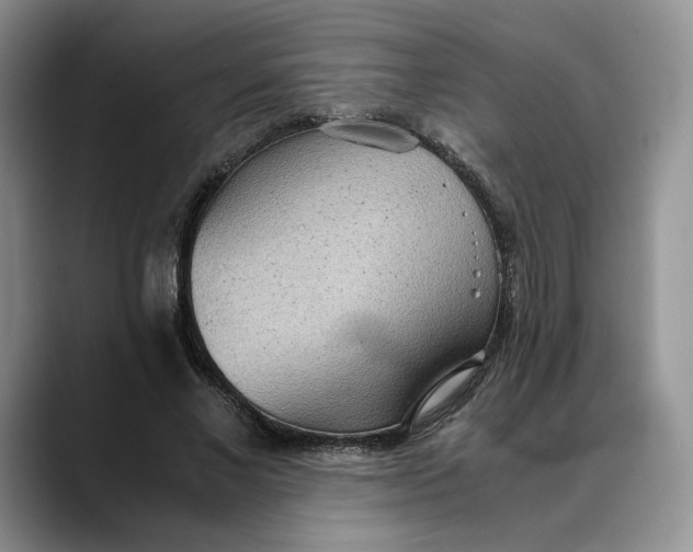 X0000088420685200706121433