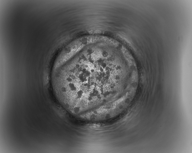 X0000088420687200706121433