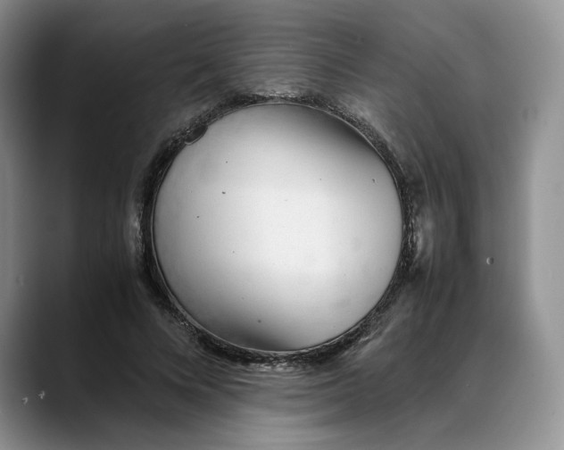 X0000088420688200706121433