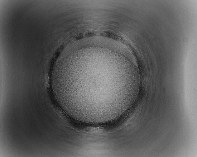 X0000088420689200706121433