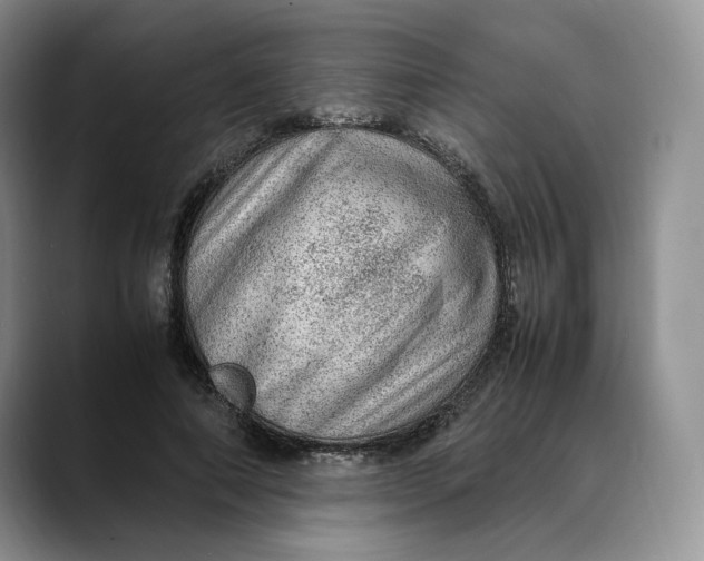 X0000088420690200706121433