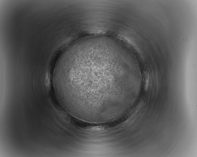 X0000088420692200706121433
