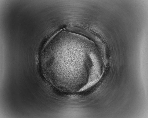 X0000088420693200706121433
