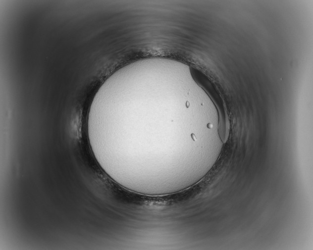X0000088420694200706121433