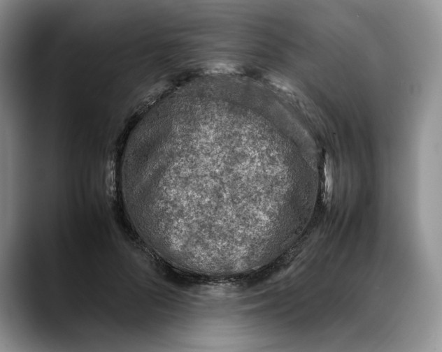 X0000088420696200706121433