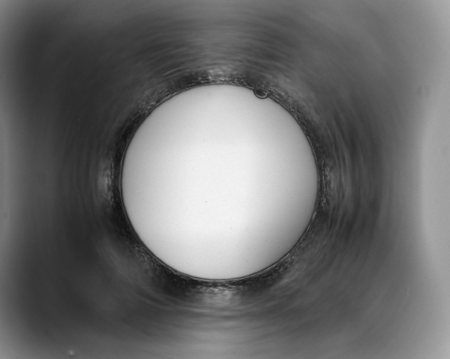 X0000088420698200706121433