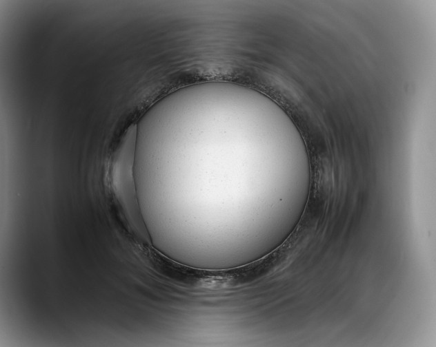 X0000088420700200706121433