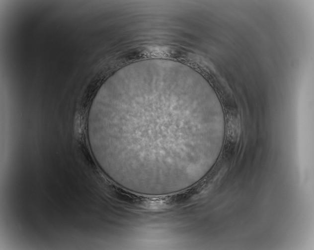 X0000088420701200706121433