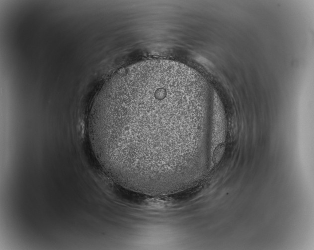X0000088420703200706121432