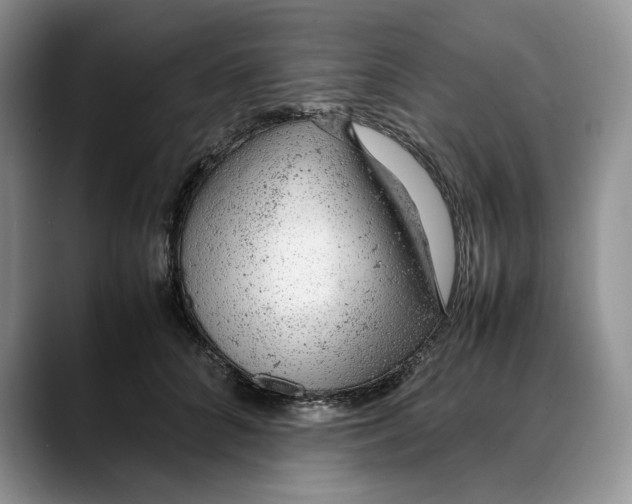 X0000088420704200706121432