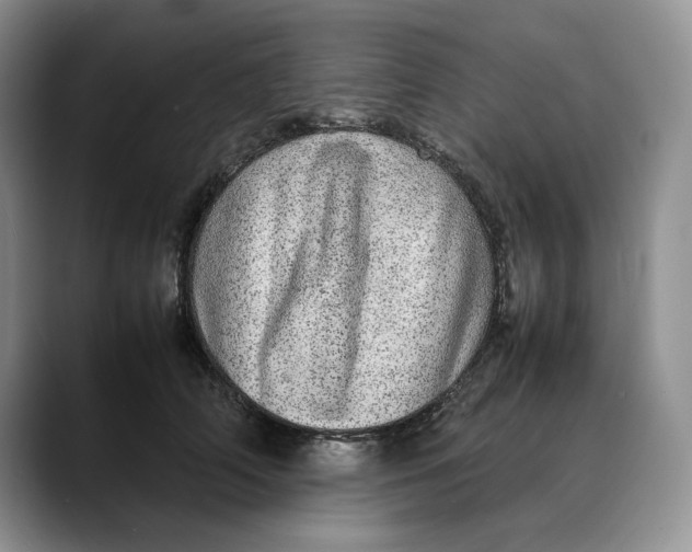 X0000088420706200706121432