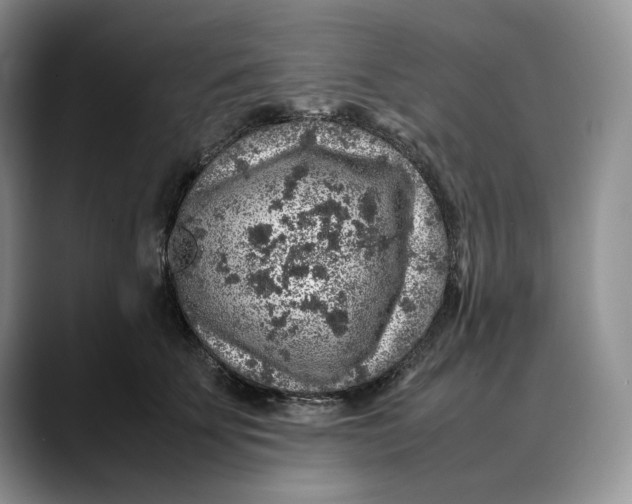 X0000088420707200706121432