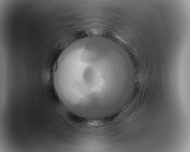 X0000088420709200706121432